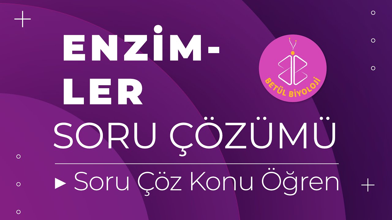 Enzimler Soru Çözümü | Soru Çöz Konu Öğren | TYT Biyoloji
