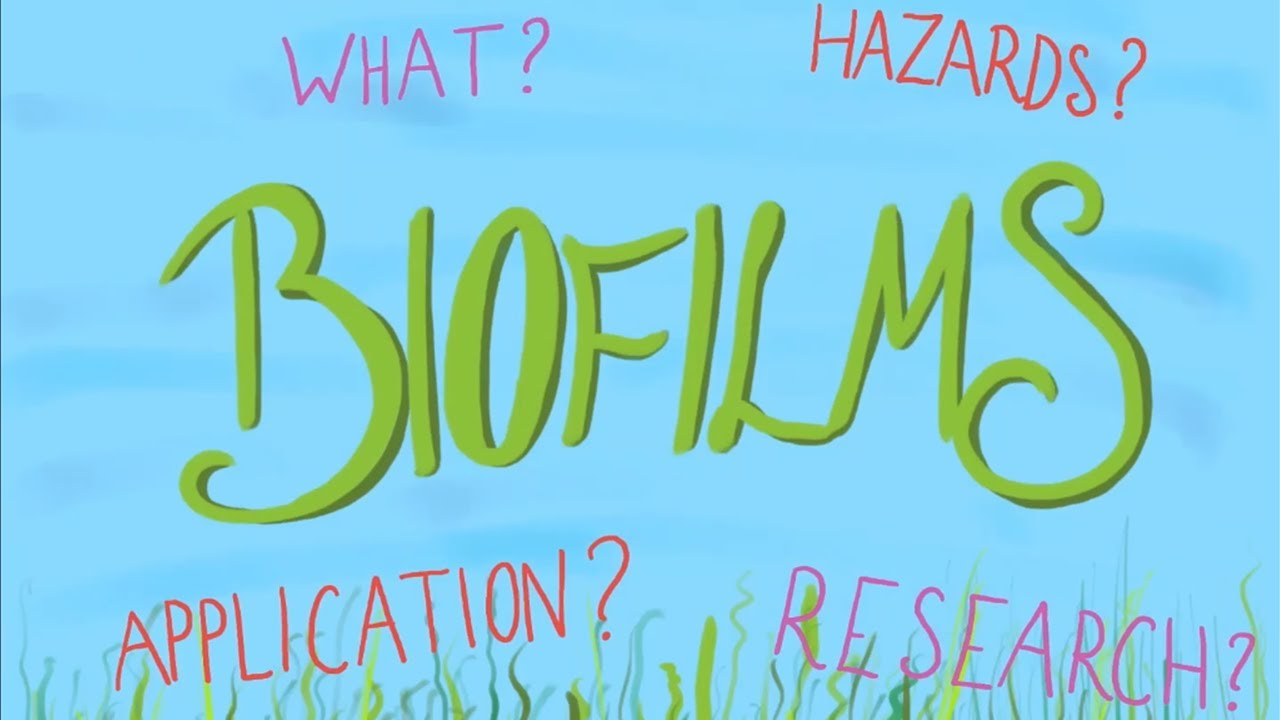 What is a Biofilm?