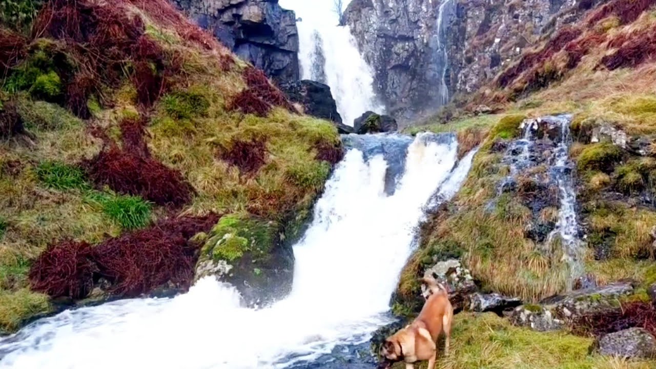 Garrel Waterfalls - Kilsyth. 