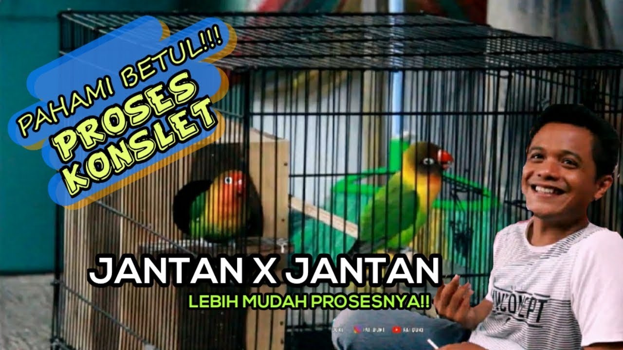 Seputar Konslet : Prosesnya lebih MUDAH hasilnya Pasti KONSLET!! Setingan JANTAN X JANTAN