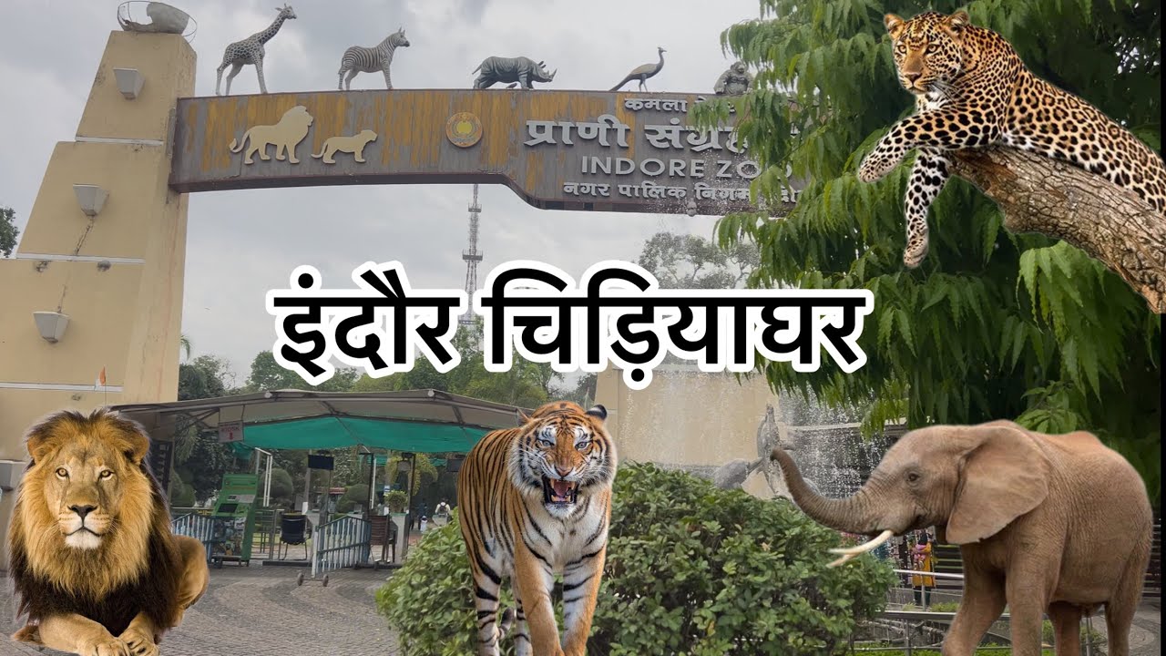 Kamla Nehru Prani Sangrahalay | Indore Zoo | इंदौर चिड़ियाघर | Indore Madhya Pradesh