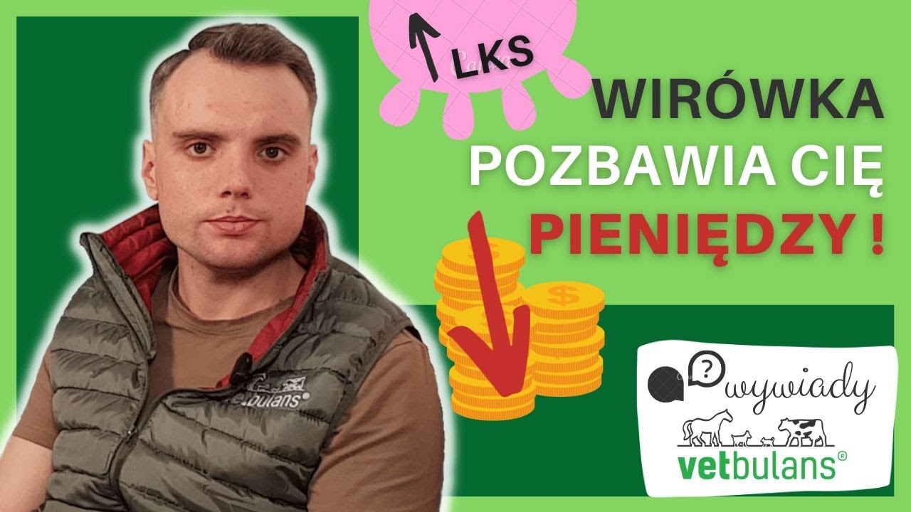 Zapalenie wymienia 🐄| używasz WIRÓWKI - musisz to wiedzieć! | Mastitis zwalczanie i profilaktyka
