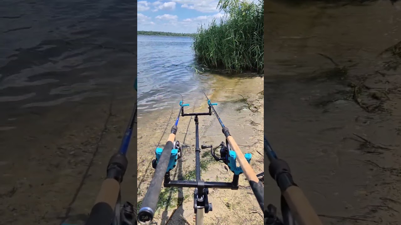 Branie Na Method Feeder Daiwa #daiwa  #wędkarstwo #feeder #carpfishing #methodfeeder #fishing #carp
