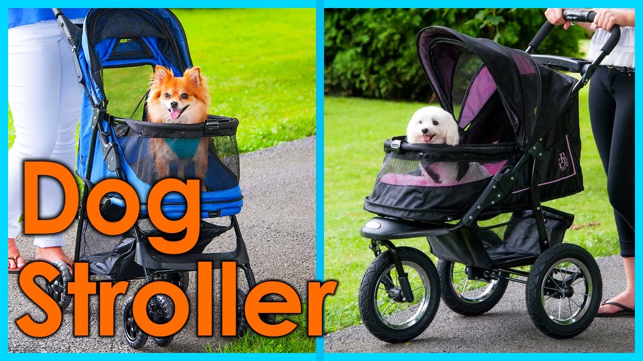 Best Dog Stroller | Top 5 Dog Stroller Review