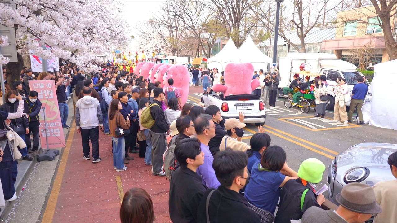 Seoul Yeouido is COMPLETELY Paralyzed! 😱 Cherry Blossom Madness + Parade Bonus