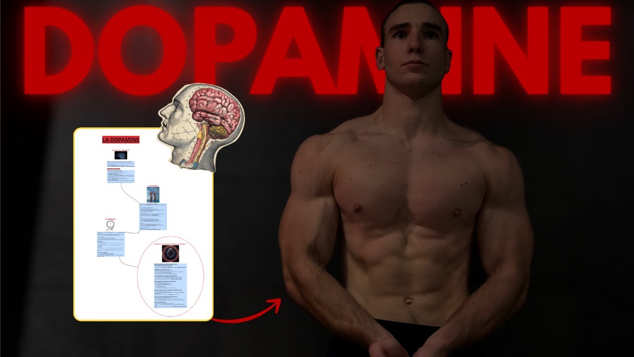 ARRÊTE DE GÂCHER TA VIE : Masterclass Dopamine