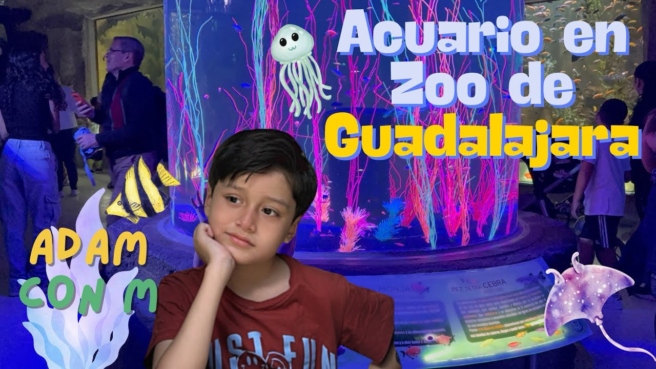 Acuario en el zoo de Guadalajara ( parte final) 