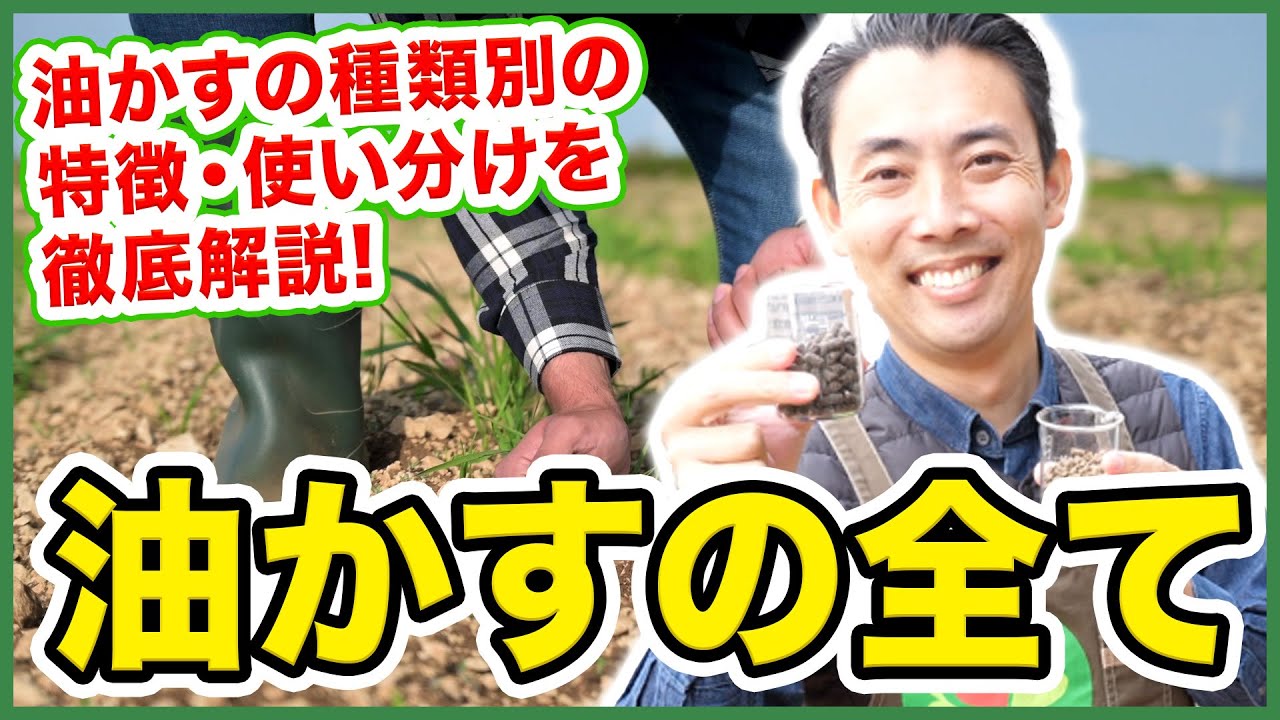 【園芸の基本】ハイポネックス元研究員が語る！〜油かすの全て！油かすの種類、特徴、選び方、及び使い方の基本を徹底解説！～【園芸塾】【ハイポネックス】