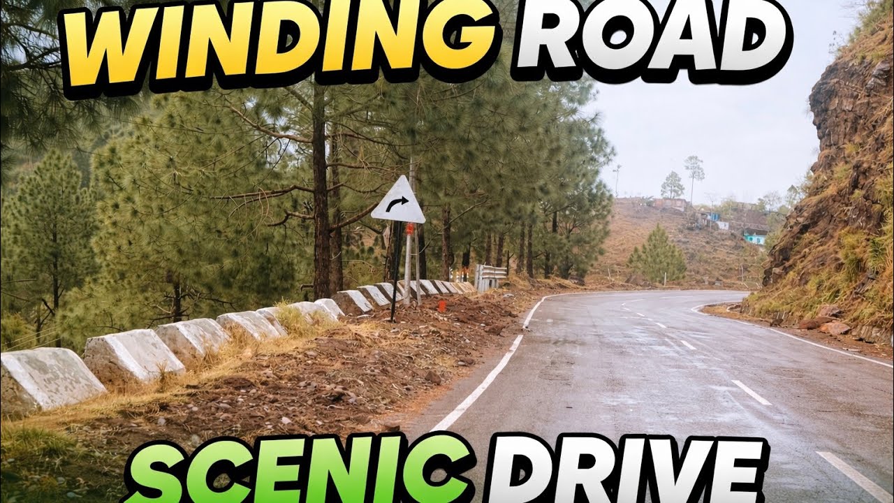 Beautiful Winding Mountain Road | Peaceful Scenic Drive in Nature 🌲🚗