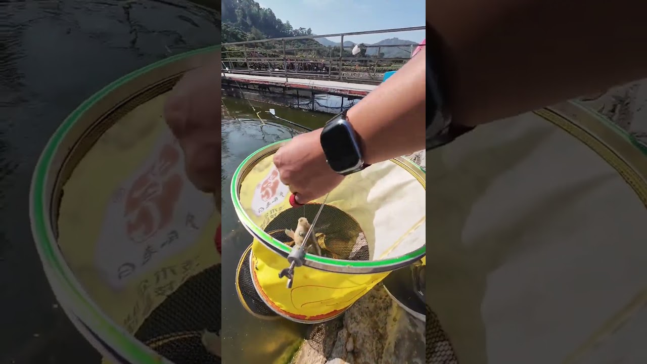 时隔几个月，再次来到湖尔美… 