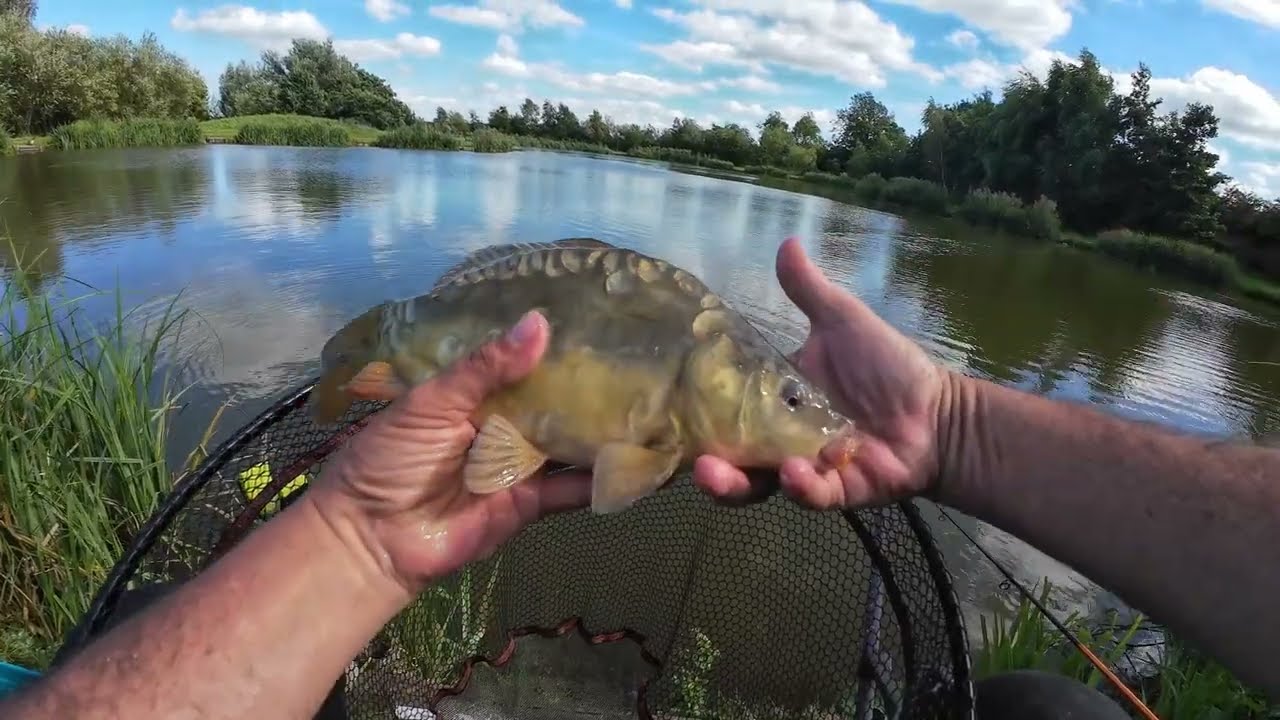Coppice Lane Fishery   Willow Pool 09 08 24
