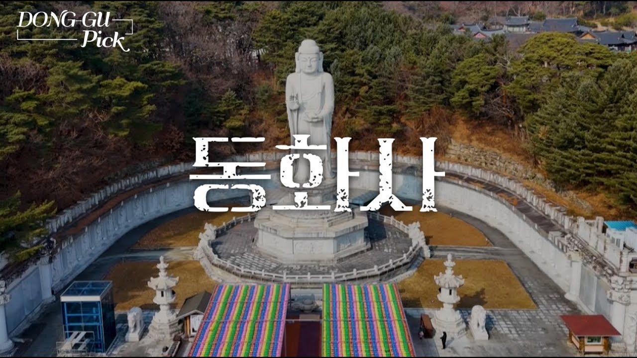 [DONG-GU PICK] 겨울 관광 필수 코스는 바로 여기! #동화사
