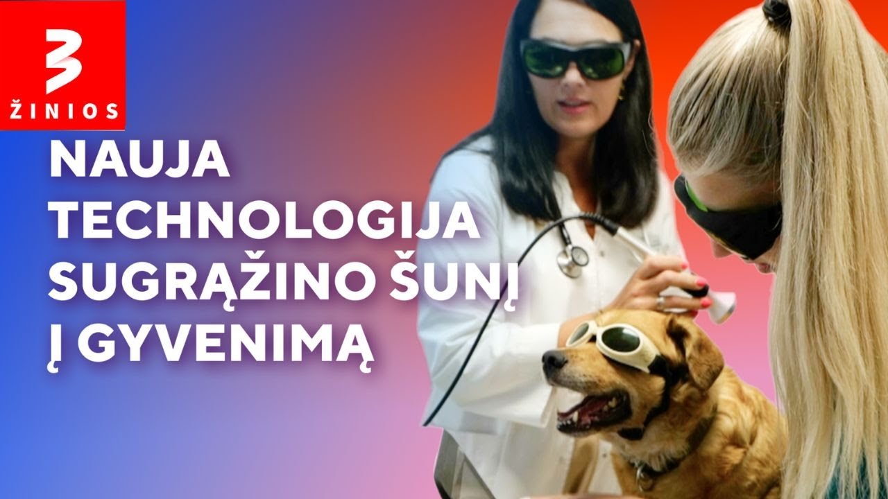 Sėkminga šunelio Ogio istoriją