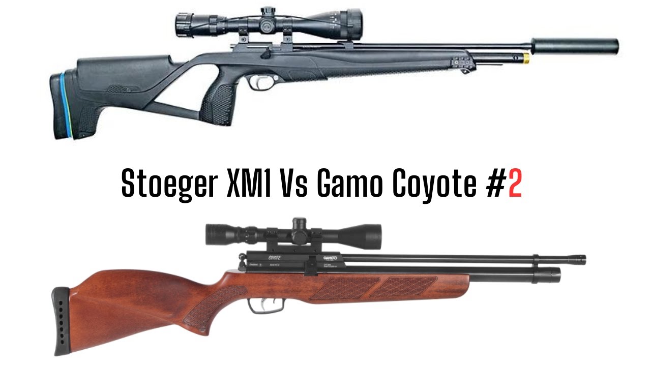Gamo Coyote Vs Stoeger XM1
