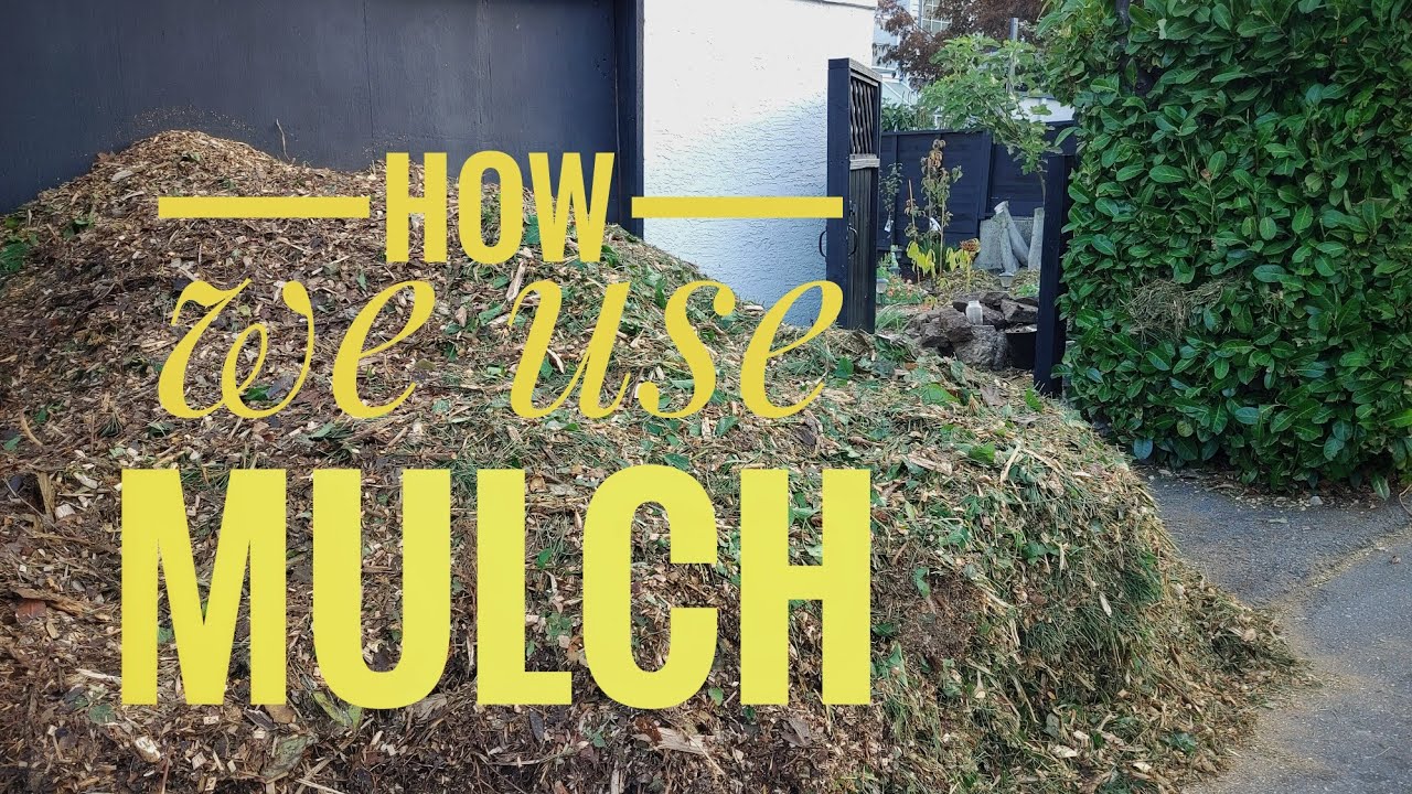 MULCH Madness| Protecting and nourishing the backyard garden using woodchips 🌱