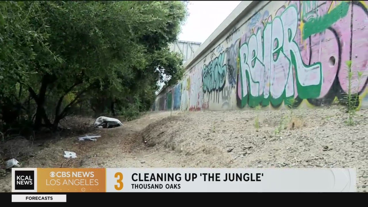 Thousand Oaks cleanup of 