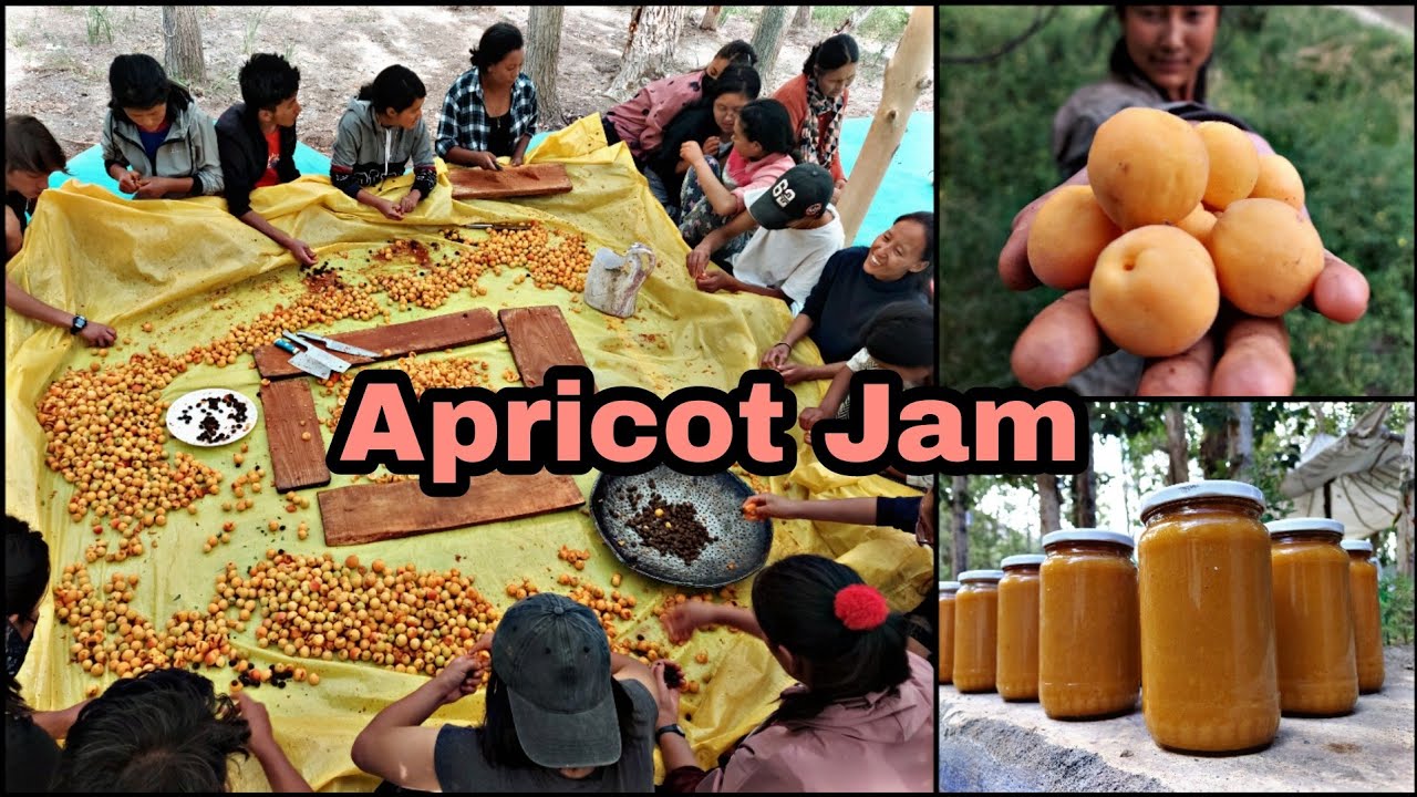 How to make Apricot Jam|Organic Jam|Secmol | Ladakh