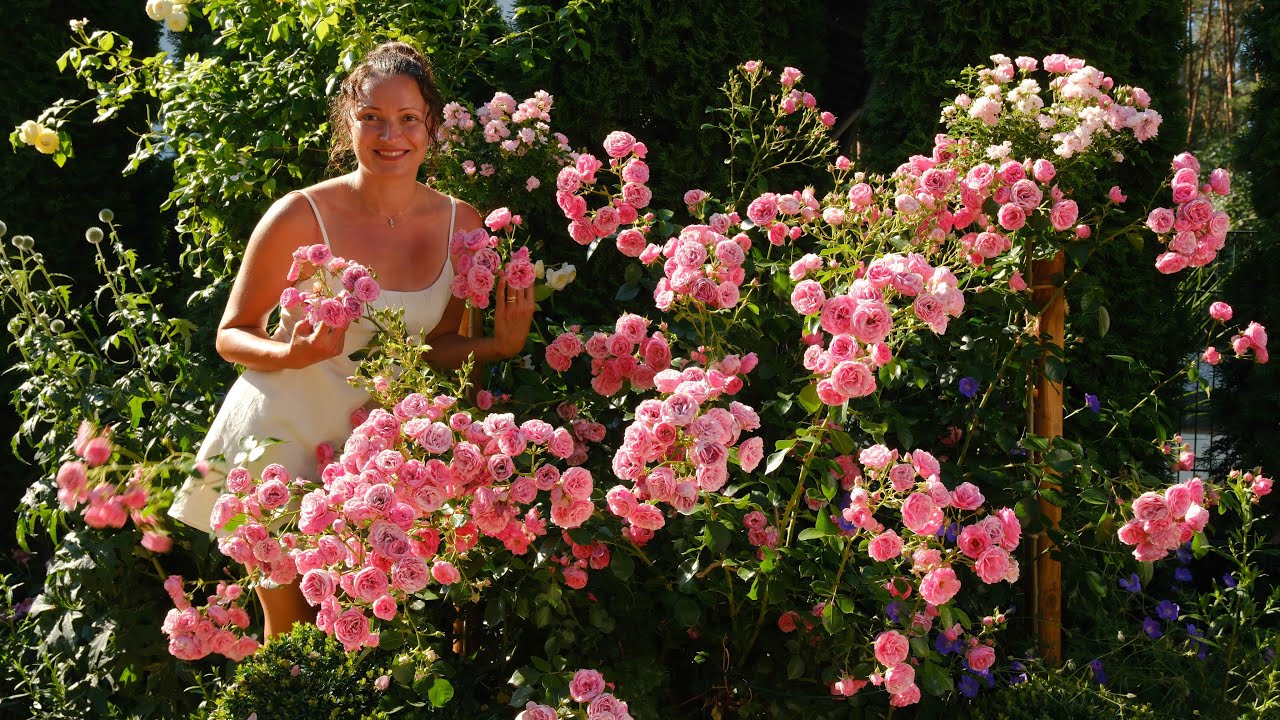 Gartentour im Hochsommer | Pomponella und andere Impressionen