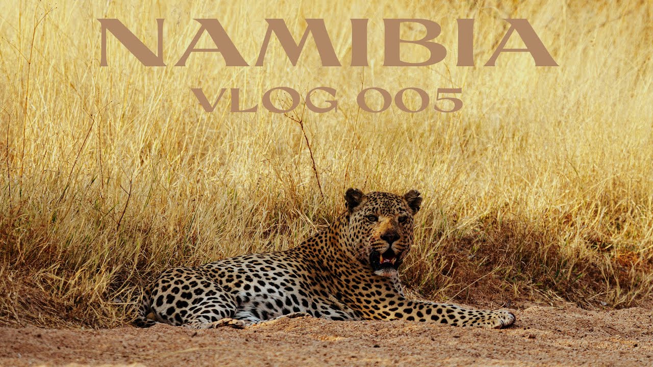 Namibia - Etosha to Okonjima - VLOG 005
