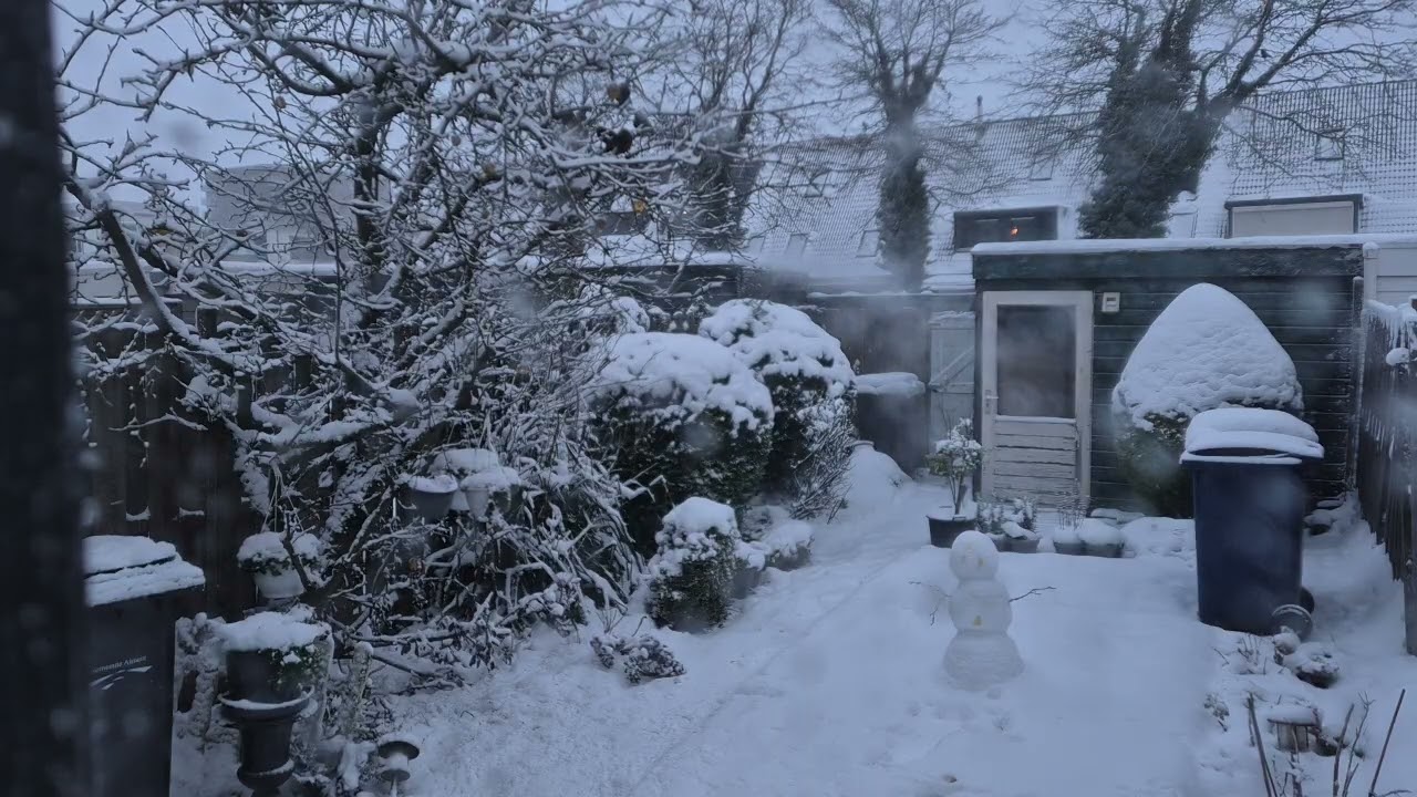 Snow day! ❄️🌨️ #snow #winter #weather