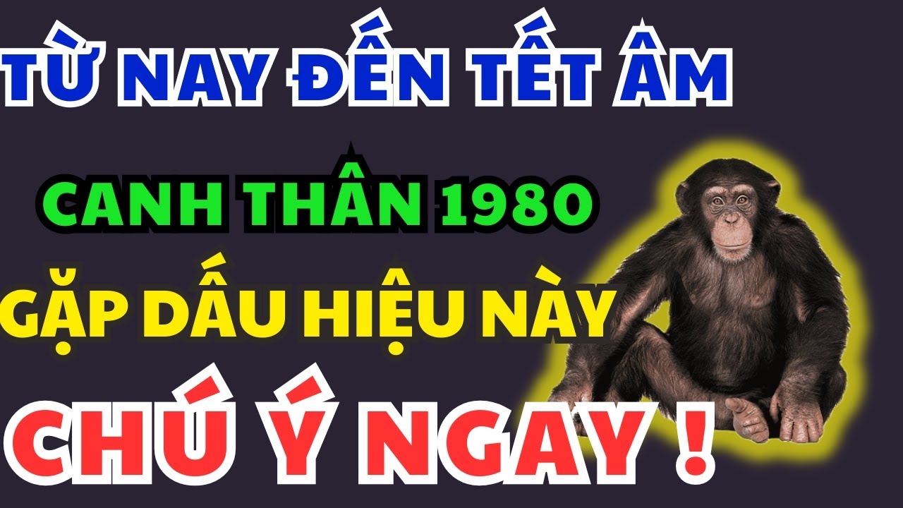 TỪ NAY ĐẾN TẾT! Canh Thân 1980 Bỗng GẶP 1 Trong 10 Dấu Hiệu Này được Tổ Tiên Giao Phúc, SẮP GIÀU TO