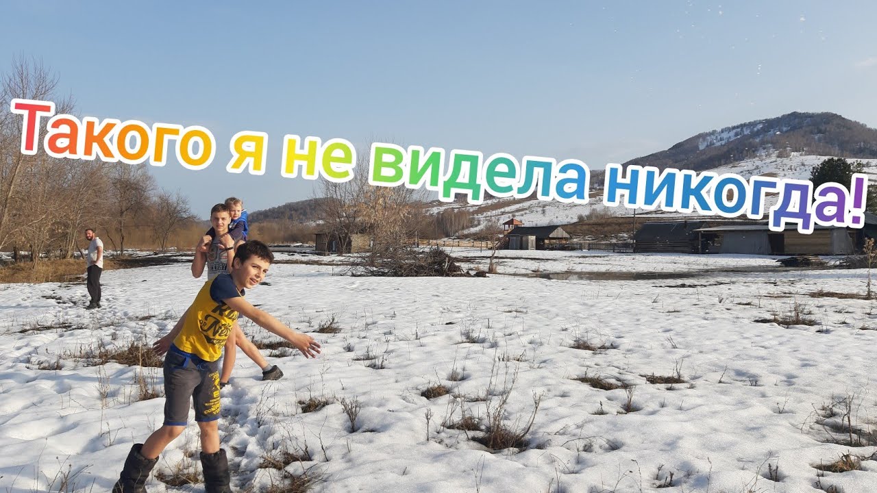 Поездка в Солонешное за продуктами/обход участка, планы на сезон/всей семьёй ушли гулять на речку