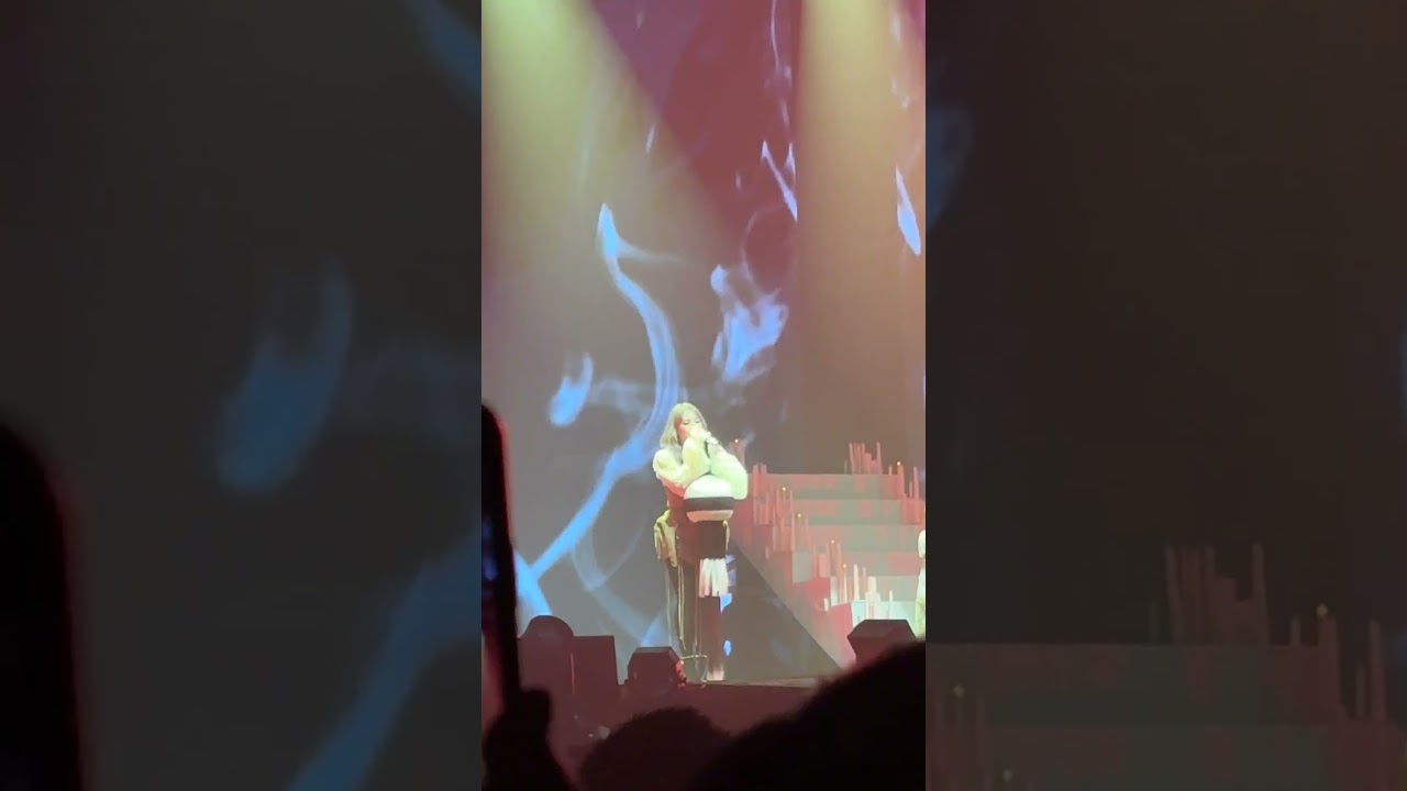 2NE1 LIVE LONELY 
