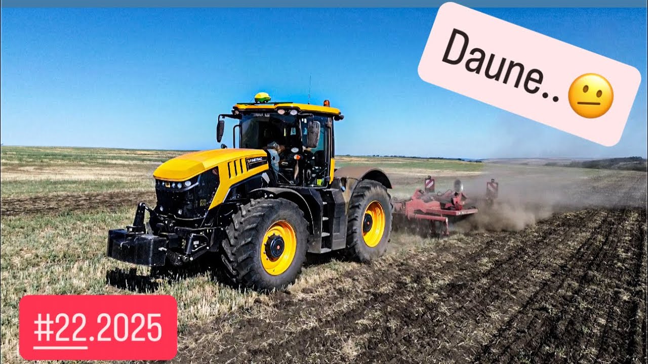 #dailyvlog S-A RUPT TIGERUL…