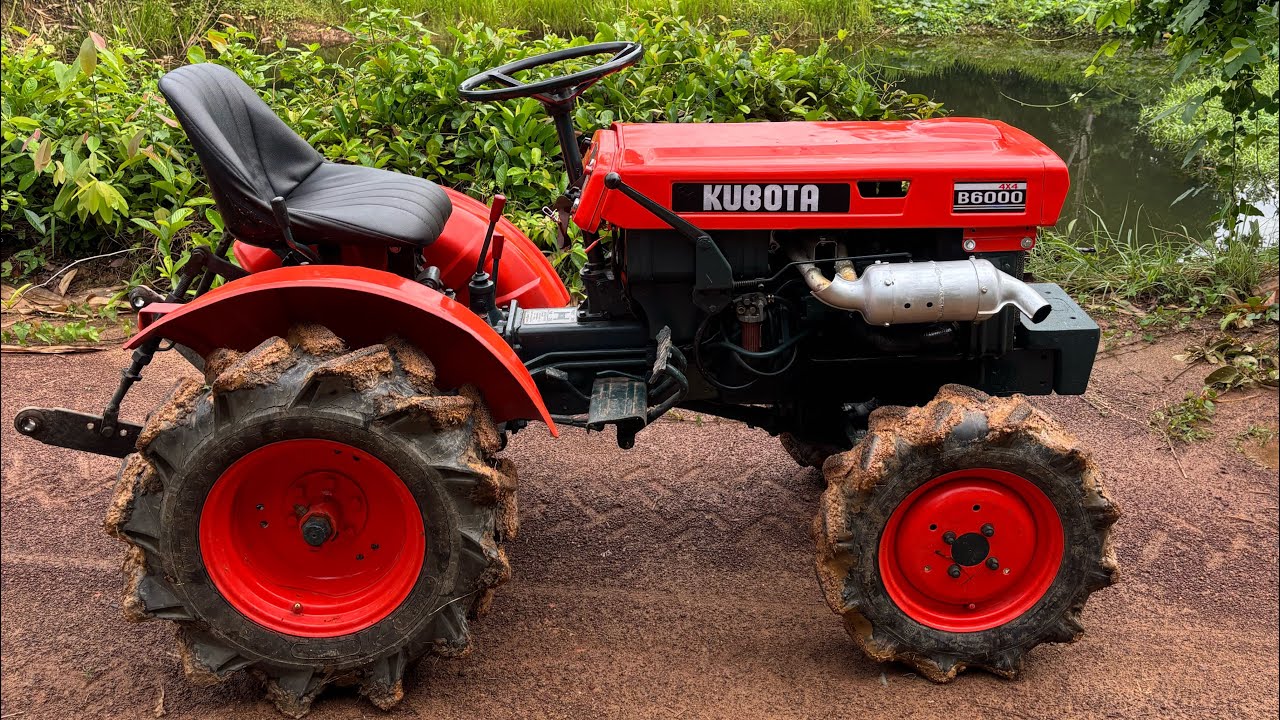 Kubota B6000 ใส่หางตัดหญ้า ตัดหญ้าในสวนยาง (ยางพาราพันธุ์ RRIM 600)