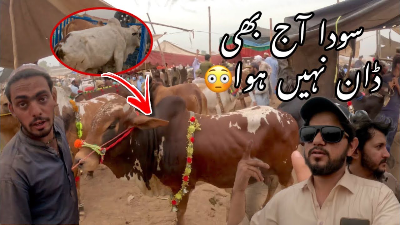 Palosi Mandi Mai Aj Soda Done Nhi Huwa😔|Palosi Mandi Peshawar New Updates 2024|