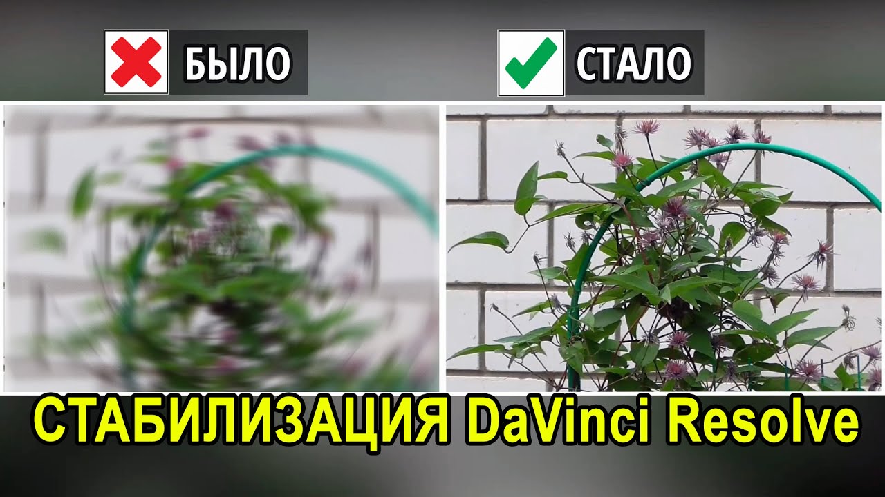 Стабилизация Видео в Давинчи. Как Стабилизировать видео в DaVinci Resolve
