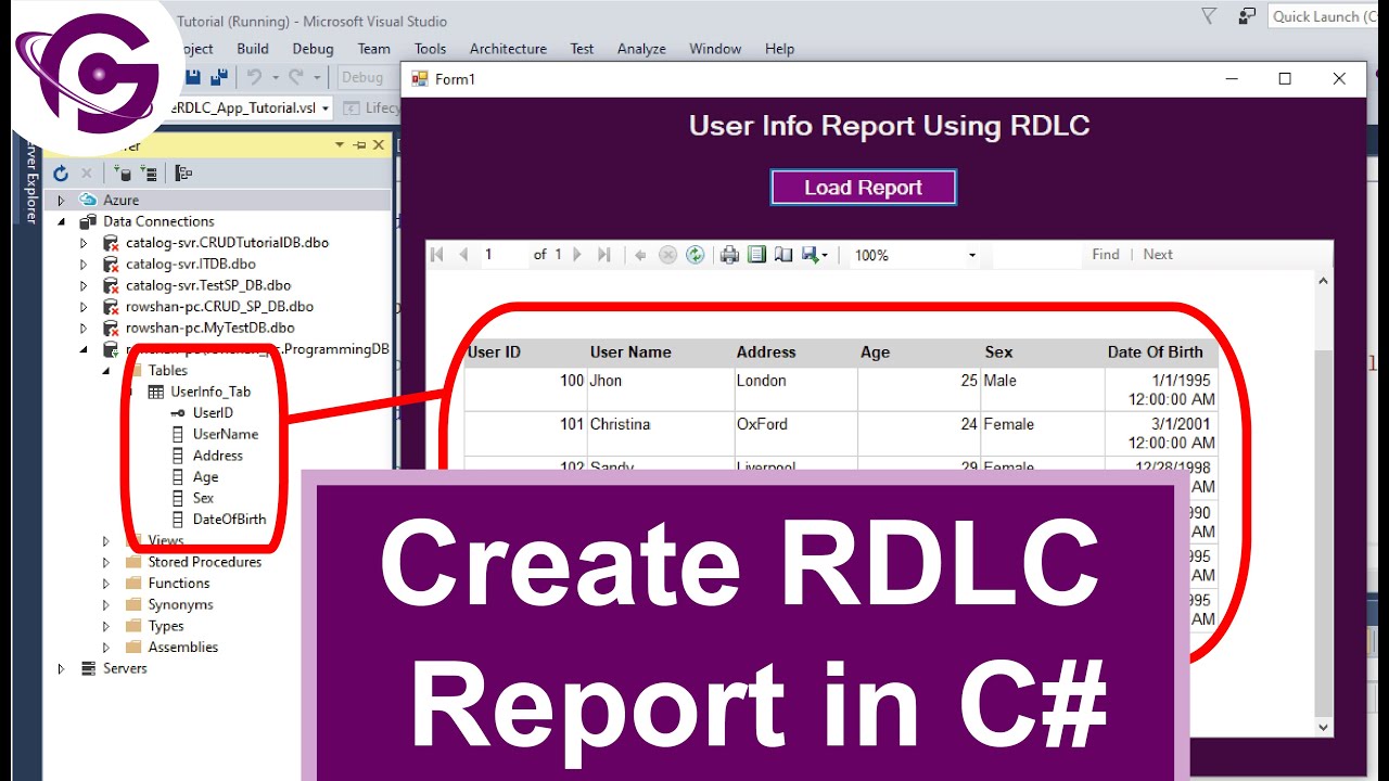 Создание отчета RDLC на языке C# с использованием SQL шаг за шагом | ProgrammingGeek