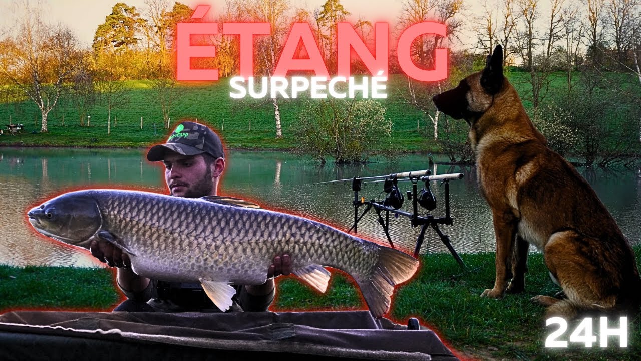 24 H en Etang, PÊCHE à la CARPE