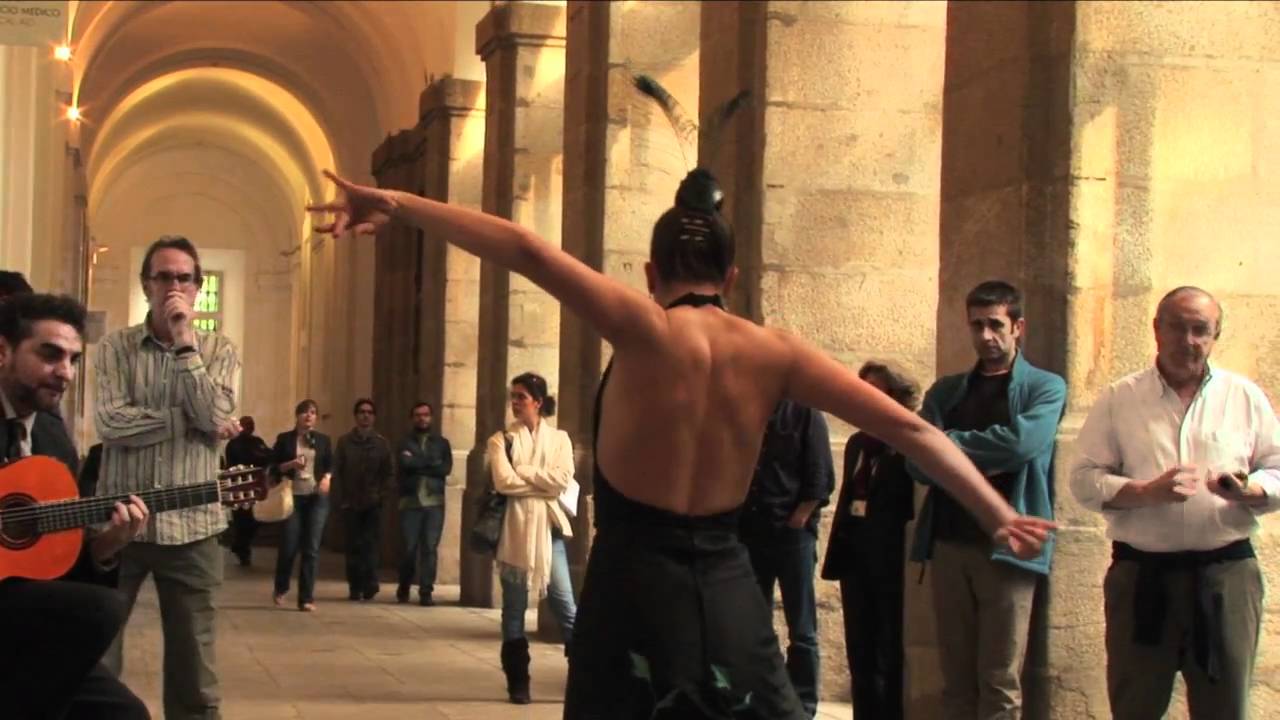 Asaltos de la Danza - Selene Muñoz - Museo Reina Sofía