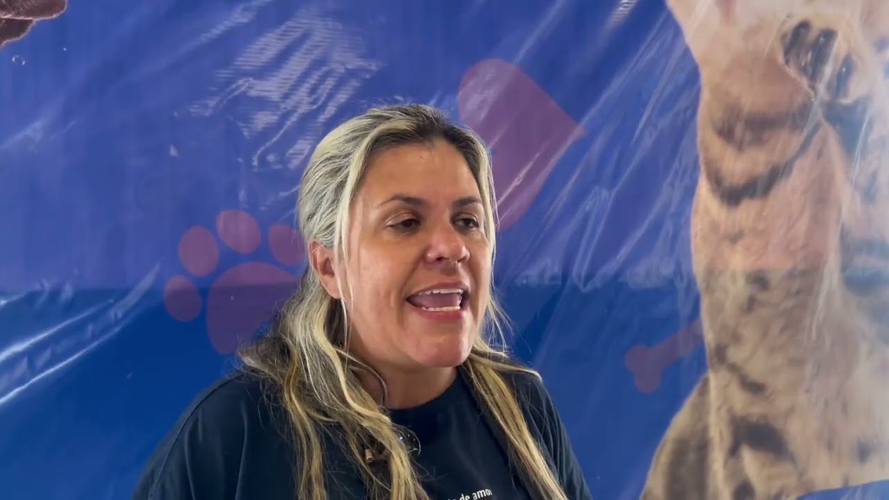 Velocidade, Arte e Esperança: Varal Cultural em Interlagos Une Motores e Adoção de Cães