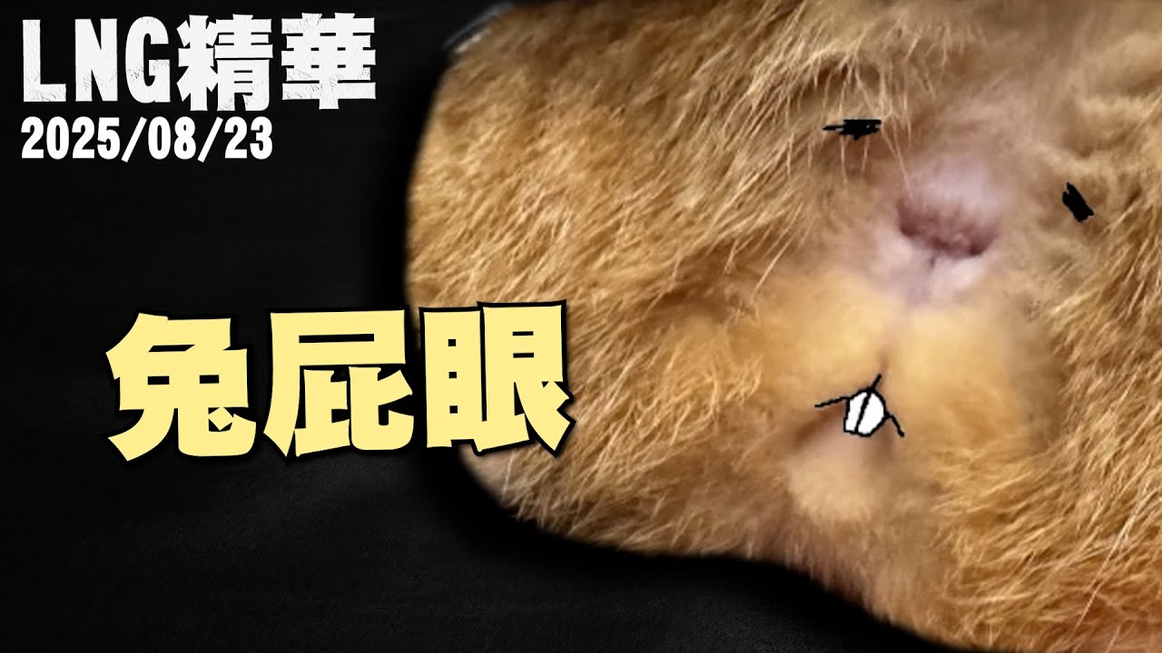 【LNG精華】兔屁眼