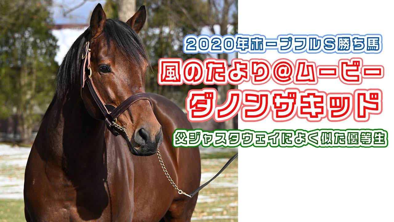 【風のたより＠ムービー】ホープフルS優勝馬ダノンザキッドの最新映像！～P．S．父ジャスタウェイと同厩だったゴールドシップとひとつ屋根の下～
