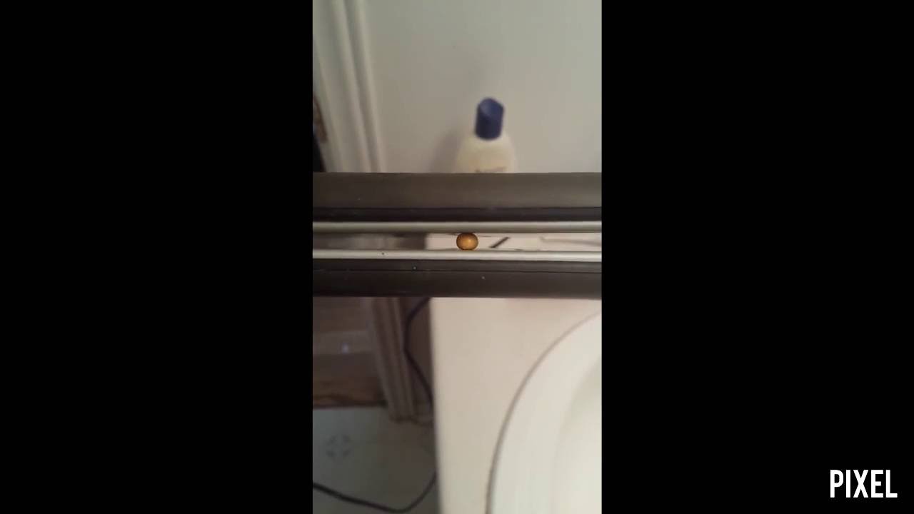 Cooking Popcorn using Hair Straightener