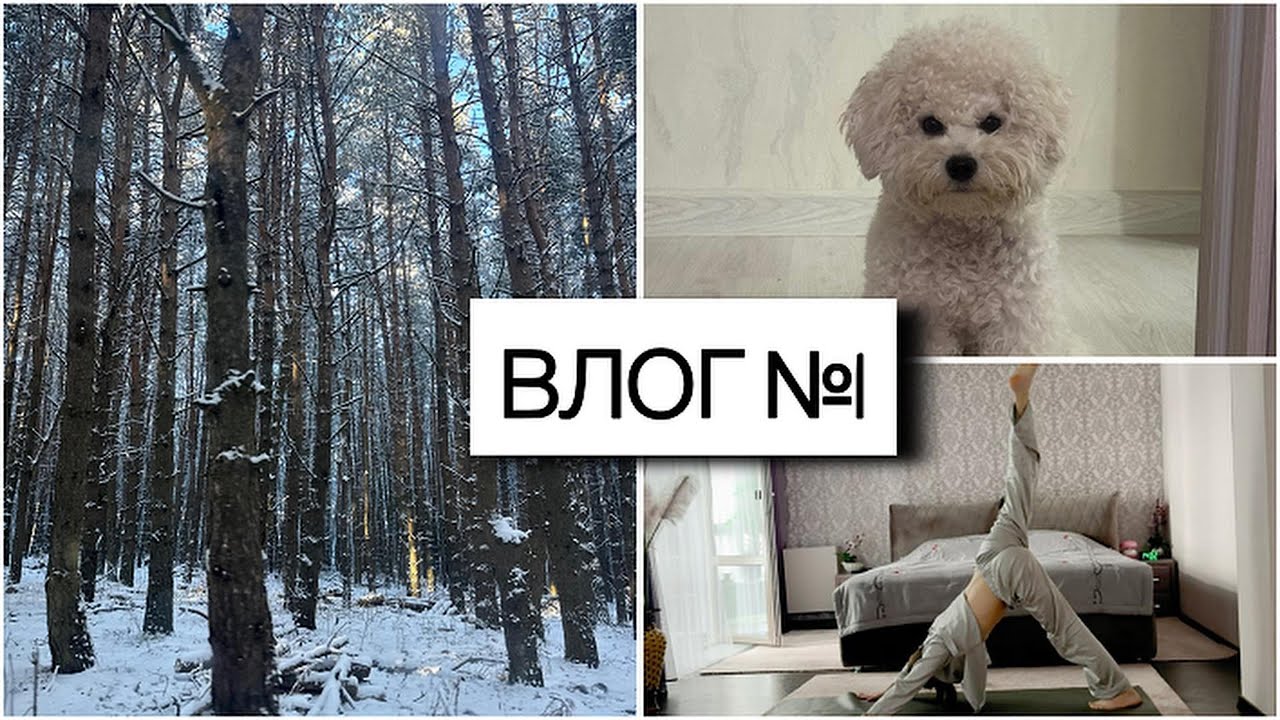 Влог №1: Знакомство. Спокойная загородная жизнь // Тихий влог.