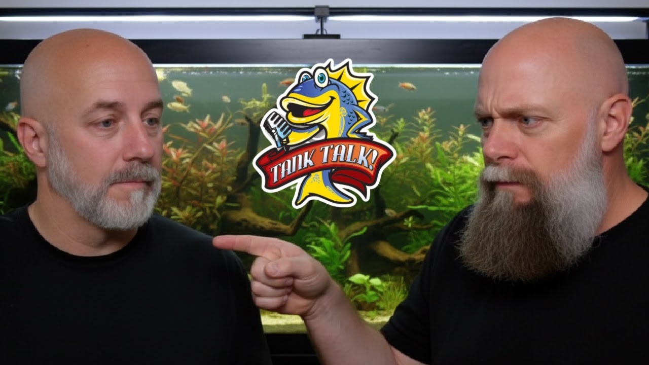 Things Every Fish Keeper Should Know