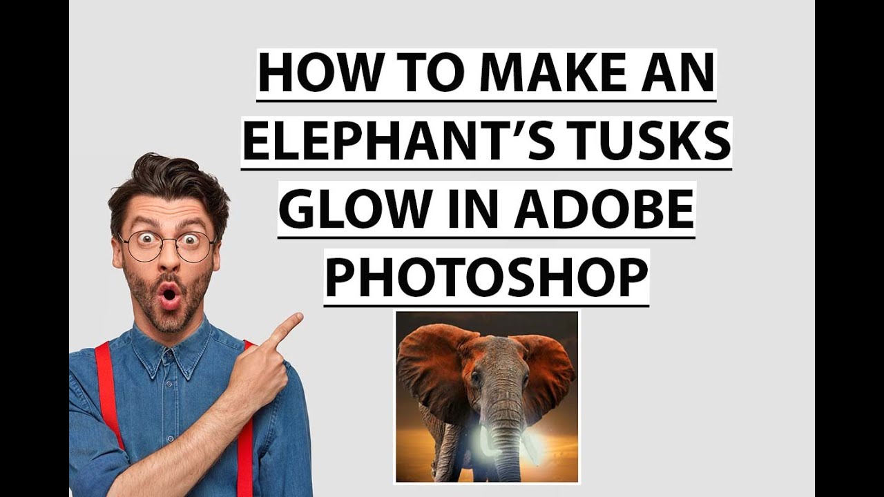 How to make an elephant's tusks glow in Adobe Photoshop