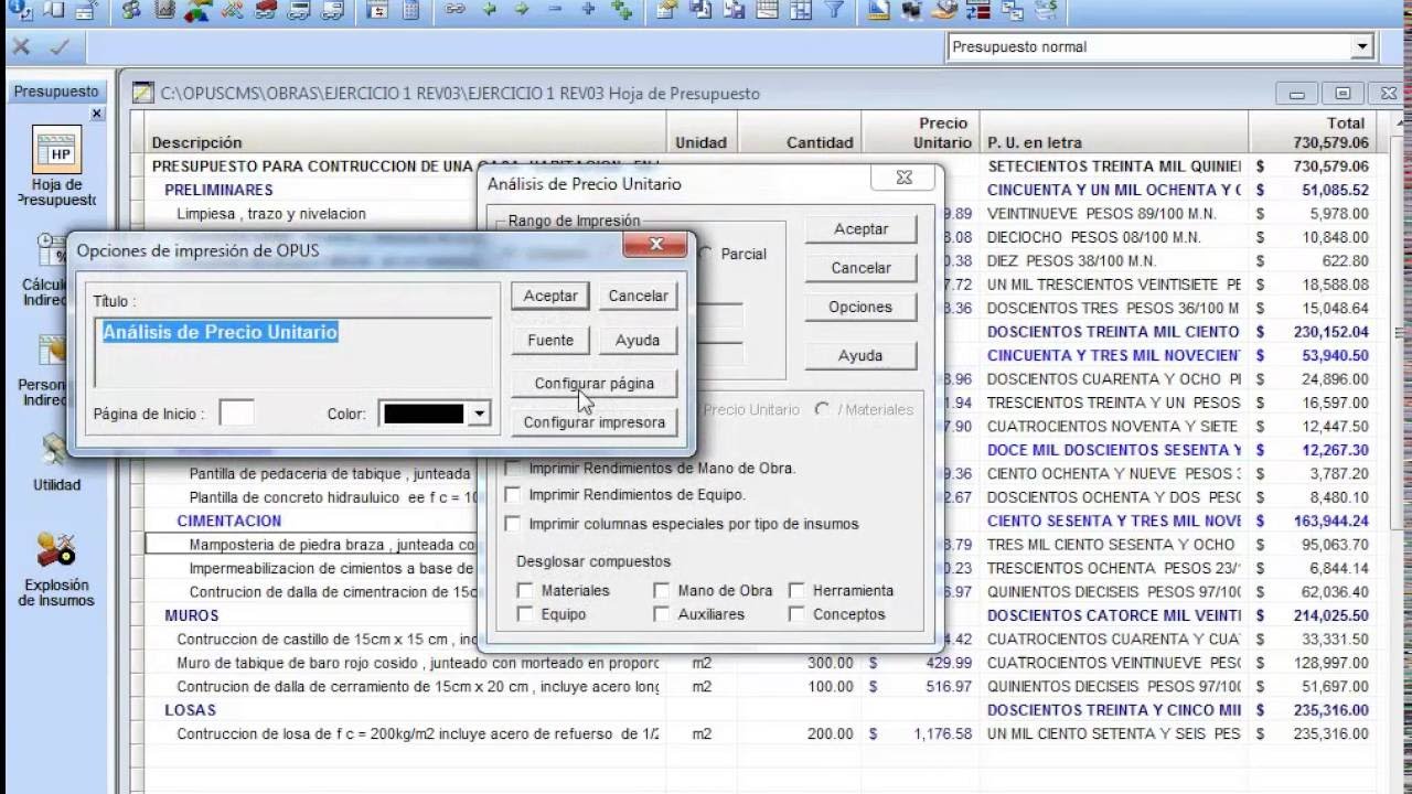 Vídeo Curso de Opus 2010 - Generación de reporte | Parte 2