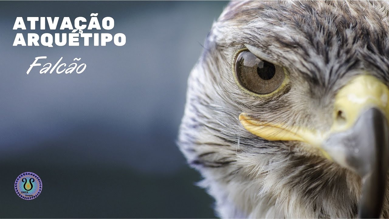 Ativação Arquétipo Falcão (Auto-estima)
