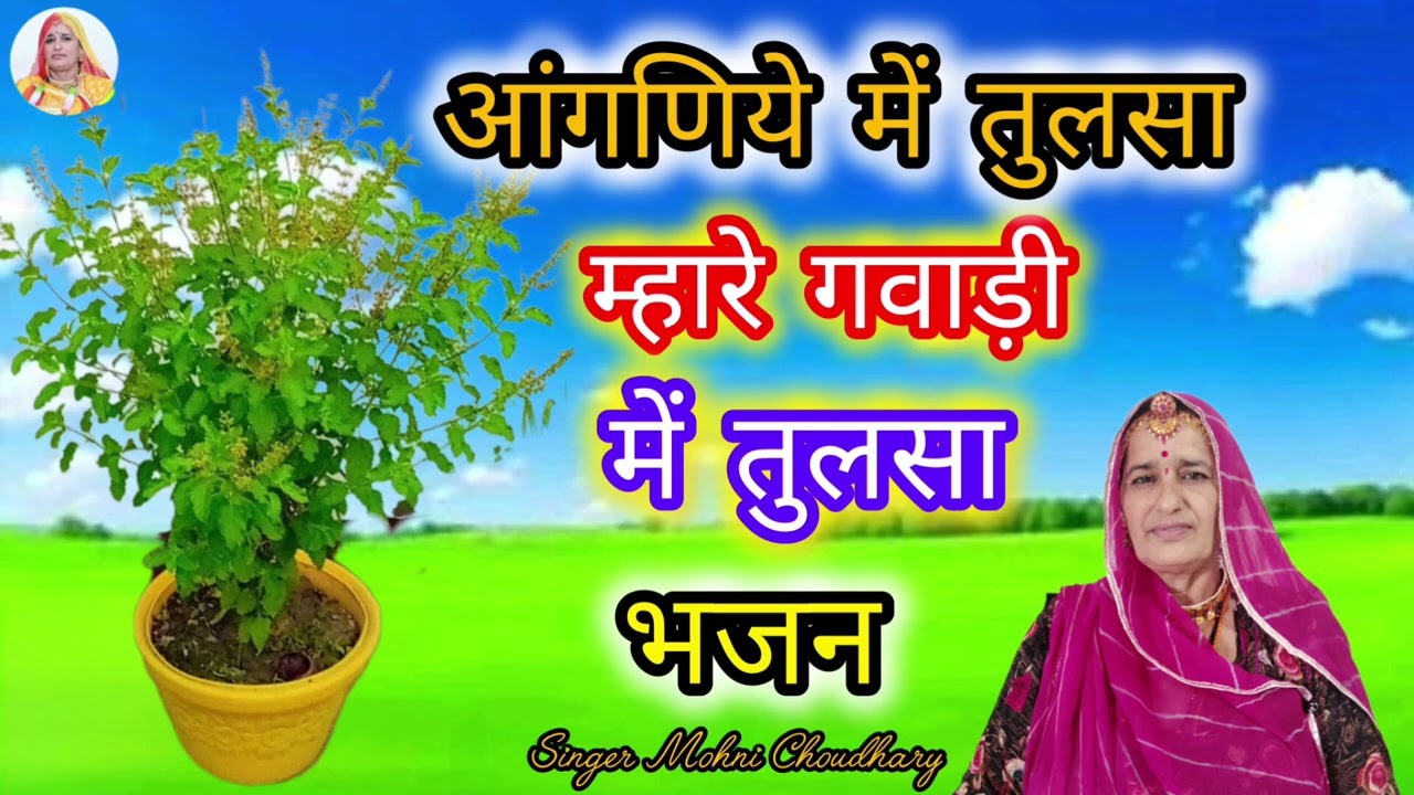 कार्तिक मास तुलसी भजन आंगणिये में तुलसा म्हारे गवाड़ी में तुलसा राजस्थानी मारवाड़ी महिला हरजस गीत 