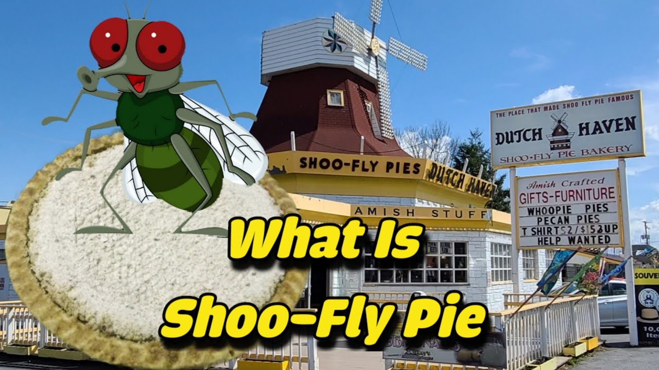 Dutch Haven Shoo-Fly Pie Ronks Pa Lancaster County (Amish Country)