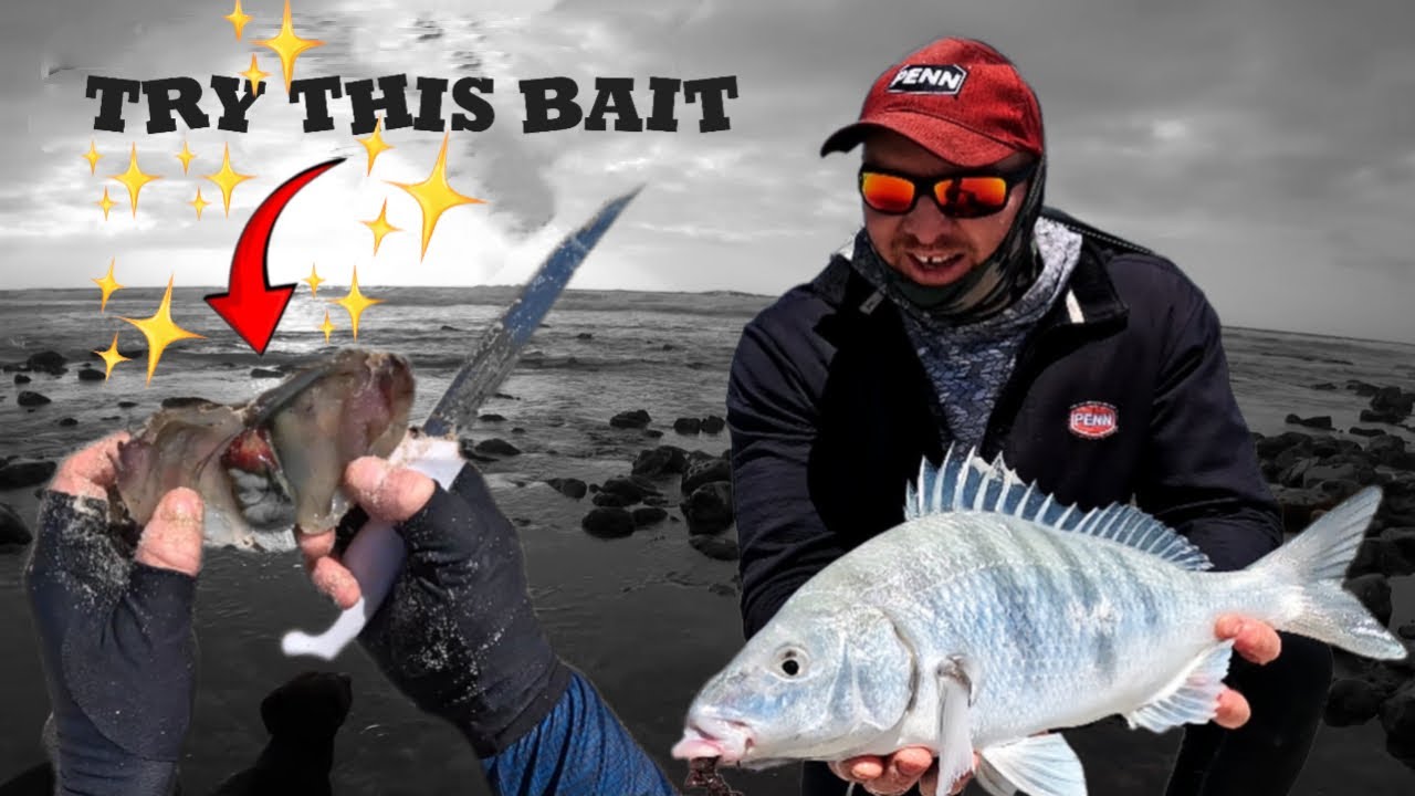 WINTER BAIT COLLECTING + TWO DAYS OF FISHING - 1Hour Edition Part 2/2