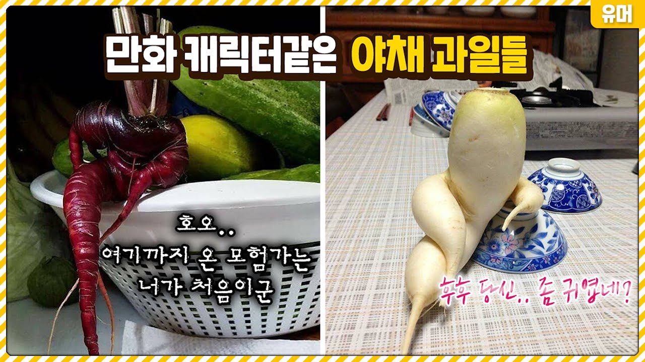만화 속 캐릭터같은 이상한 야채 과일들ㅋㅋㅋㅋㅋㅋㅋㅋㅋㅋㅋㅋ