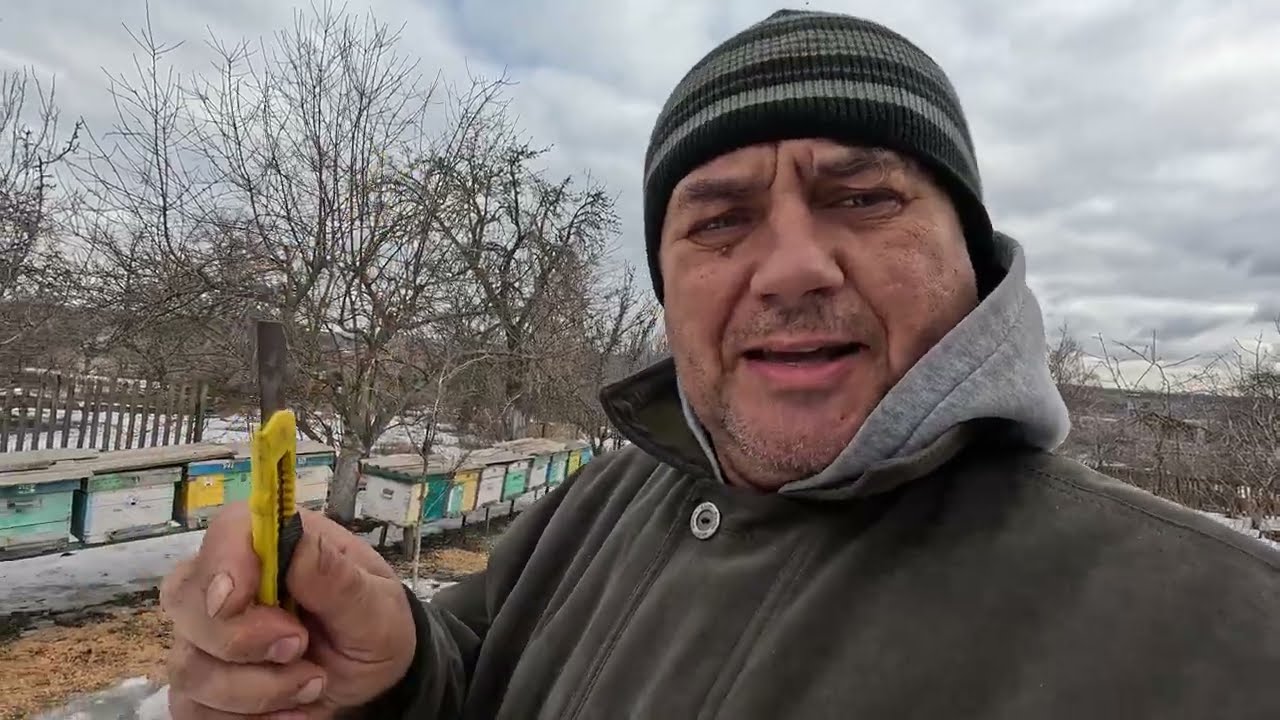 ✅ Простой способ Вывести Хорошую Матку! Подрезка Сота! #пчеловодство1