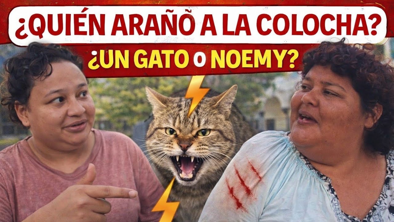 👉 “El drama fue este 😳 el gato no fue… fue Noemy”