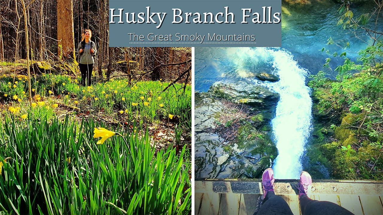 Husky Branch Falls | Little River Trail To Husky Branch Falls | Beautiful Waterfalls In The Smokies
